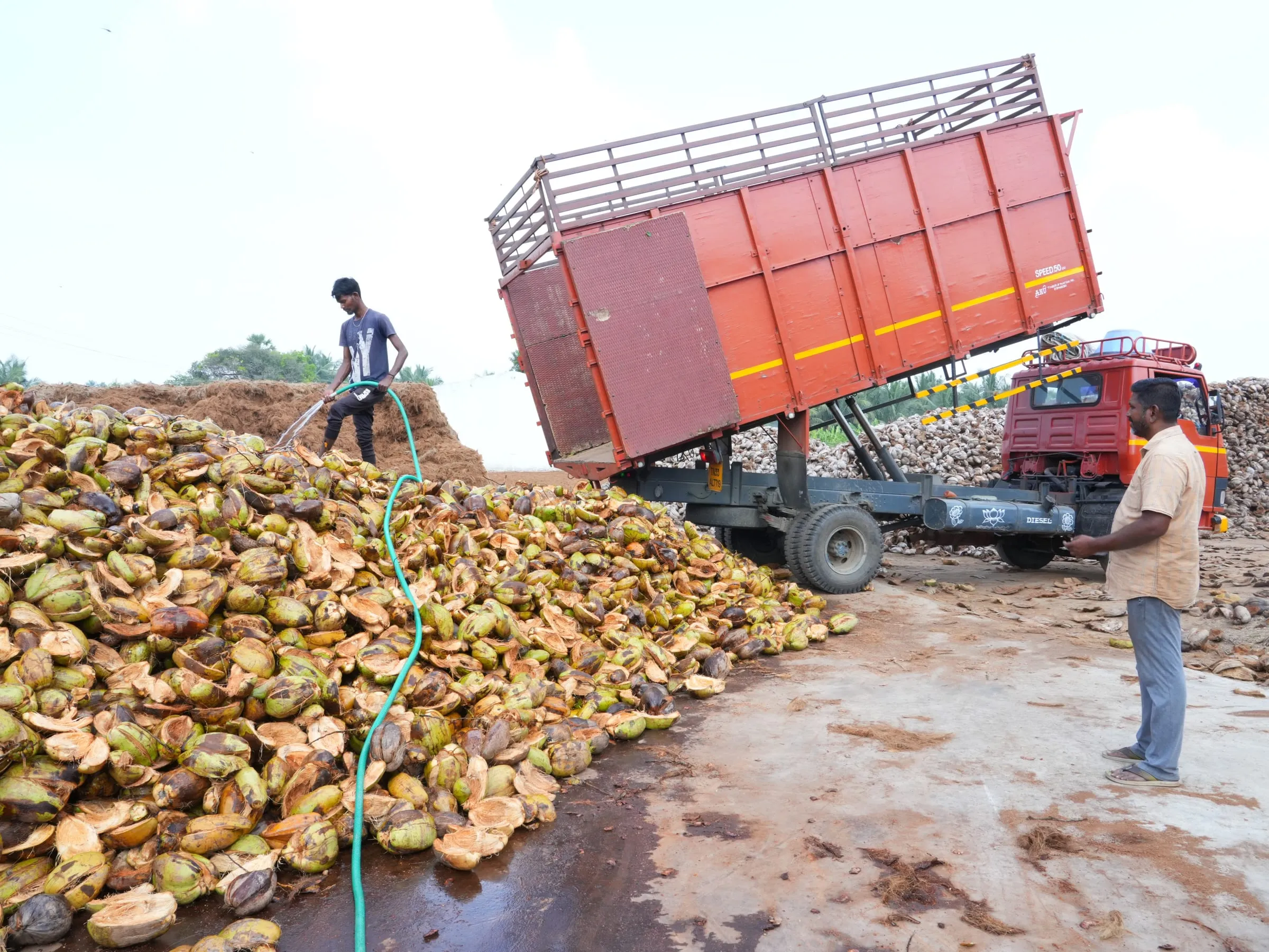 Coconut husk intake
