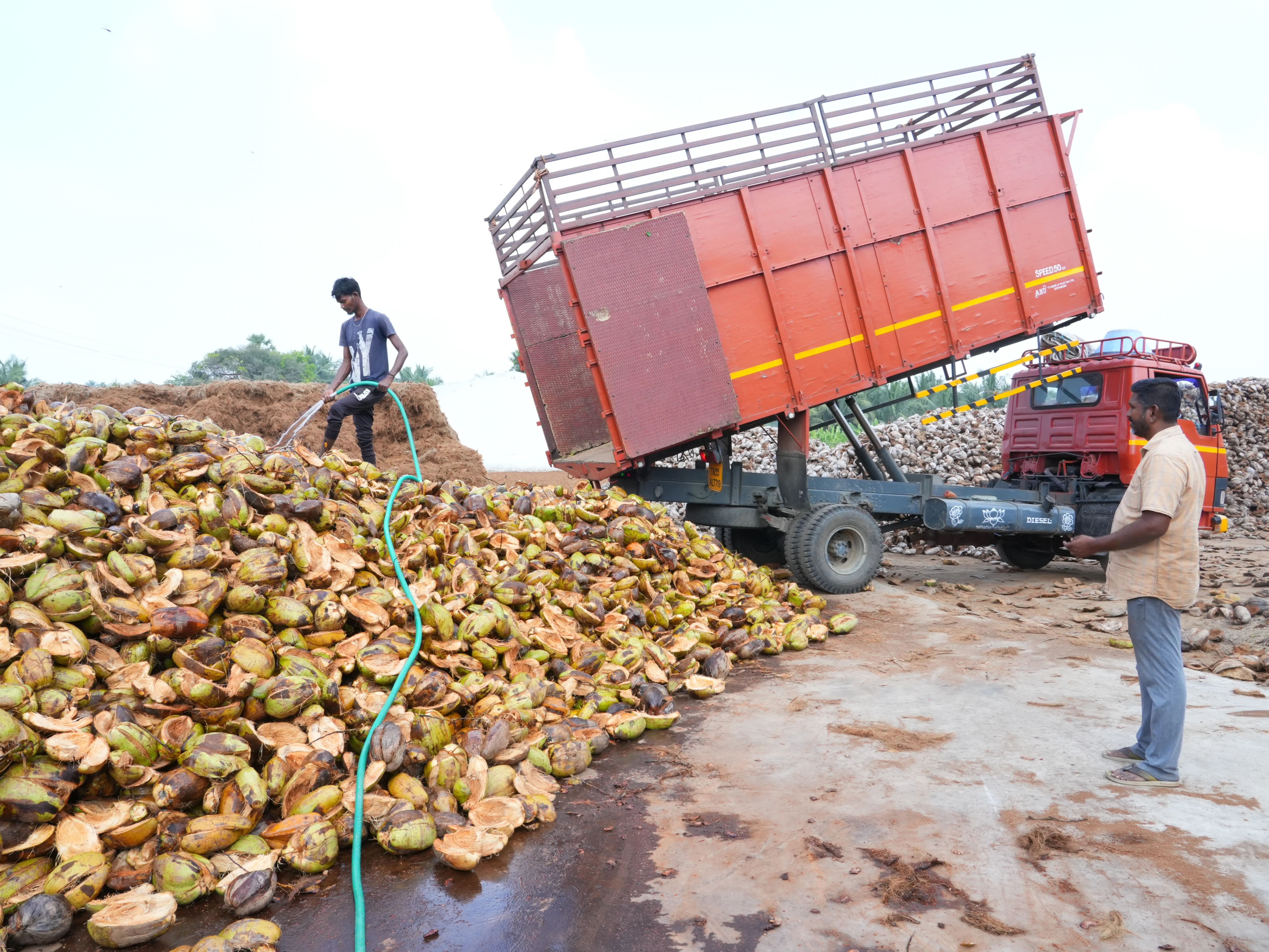 Coconut husk intake