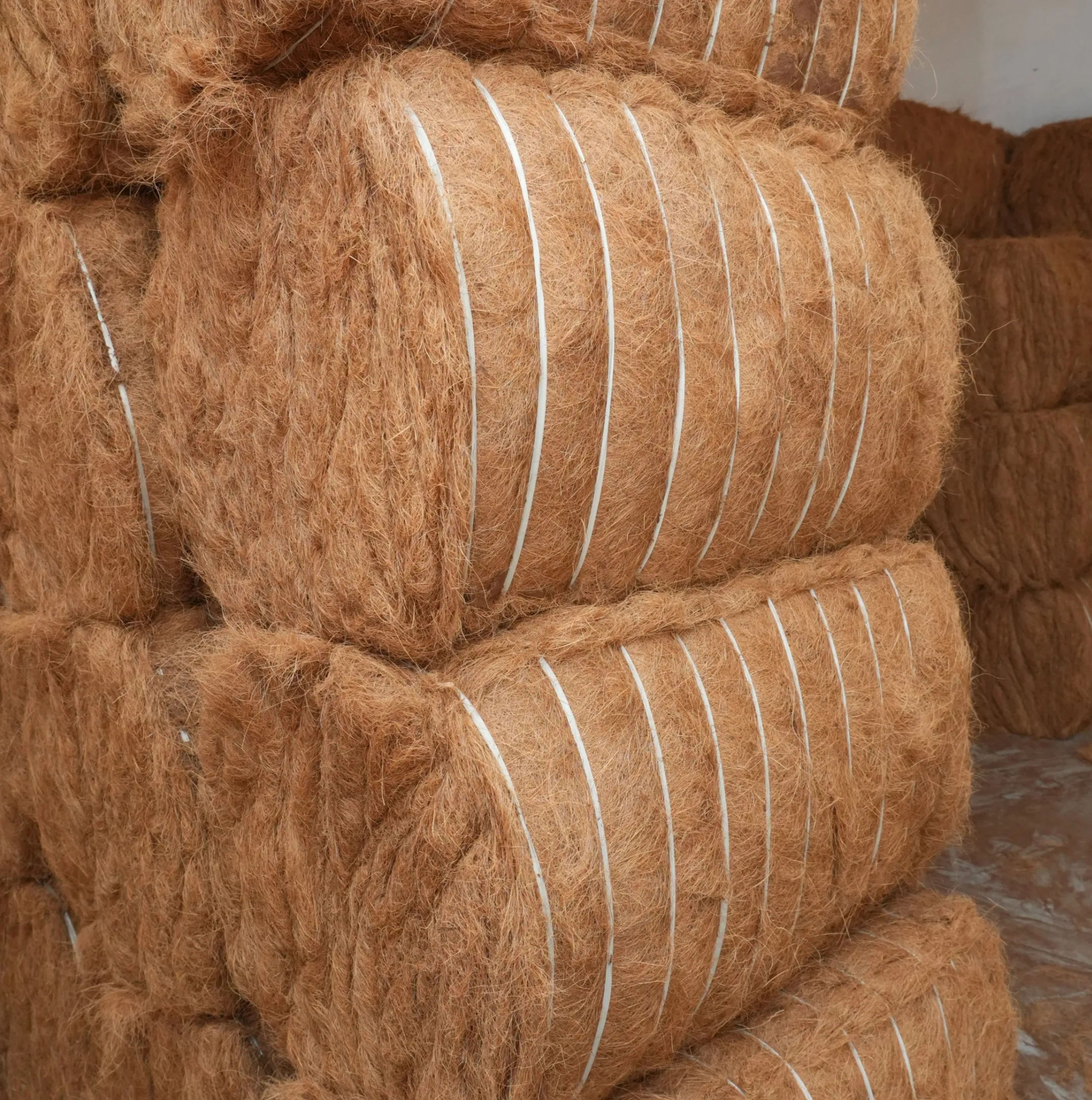 Coir Fibre