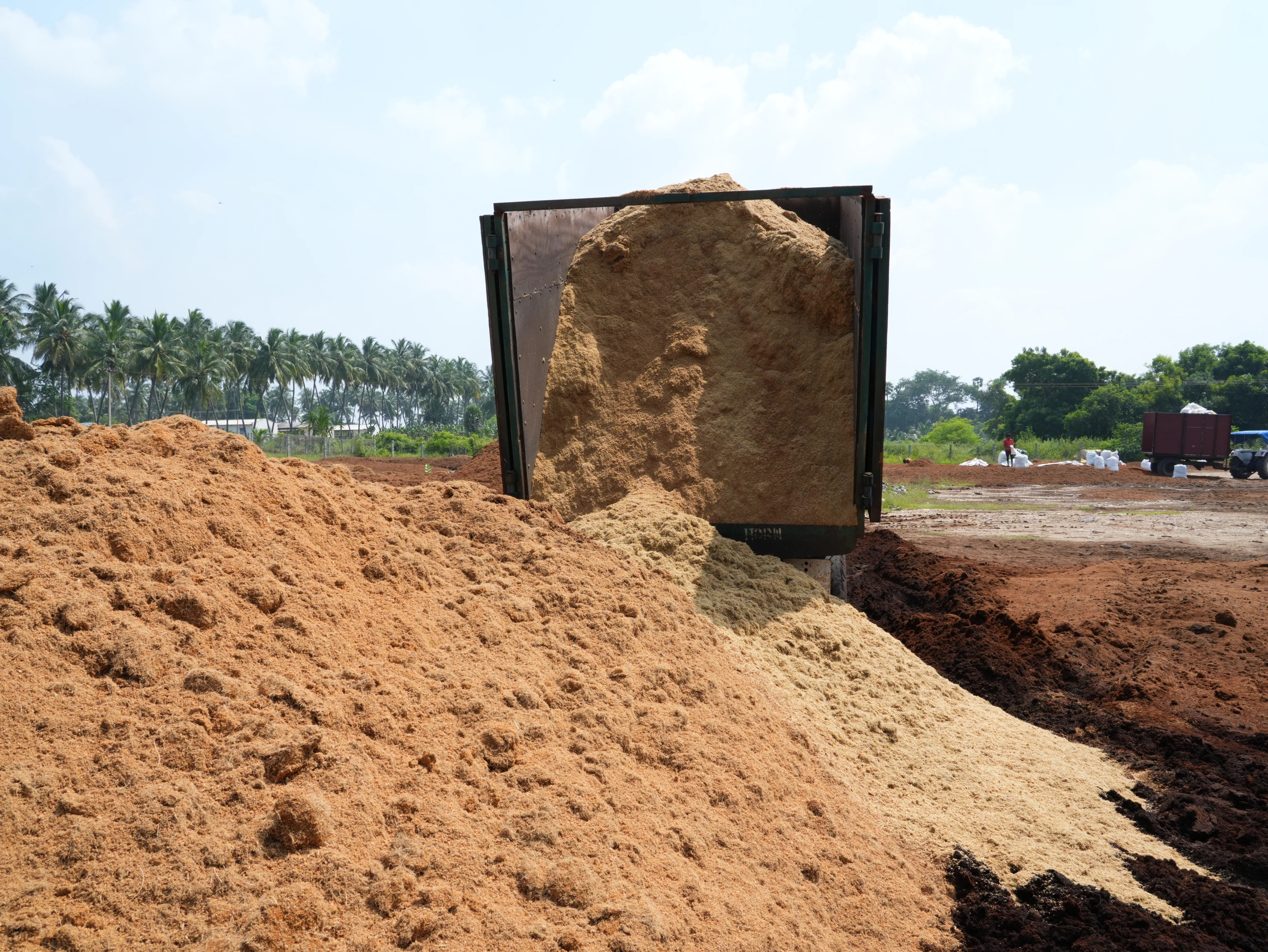 Coir fibre being processed by the extraction machine