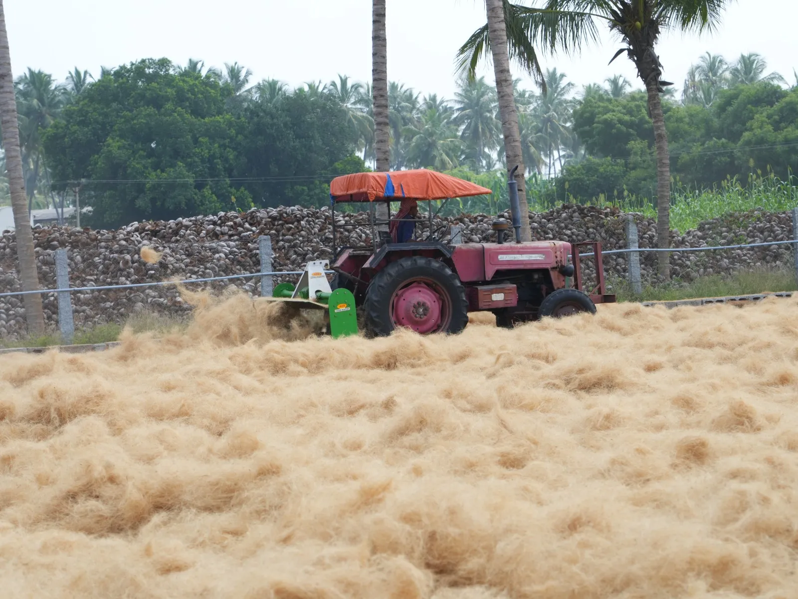 Tractor turning coir fibre to dry in the yard