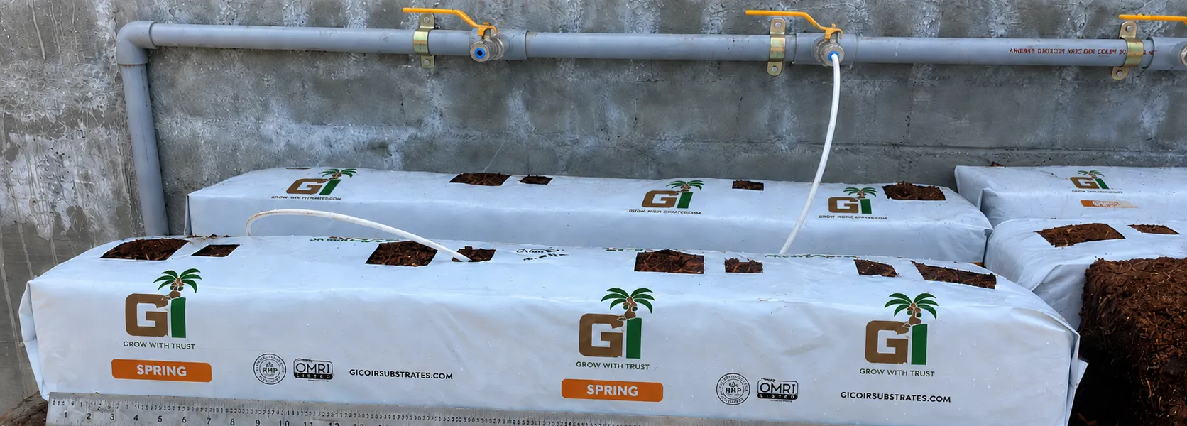 GI coir grow-bag slab with planting holes