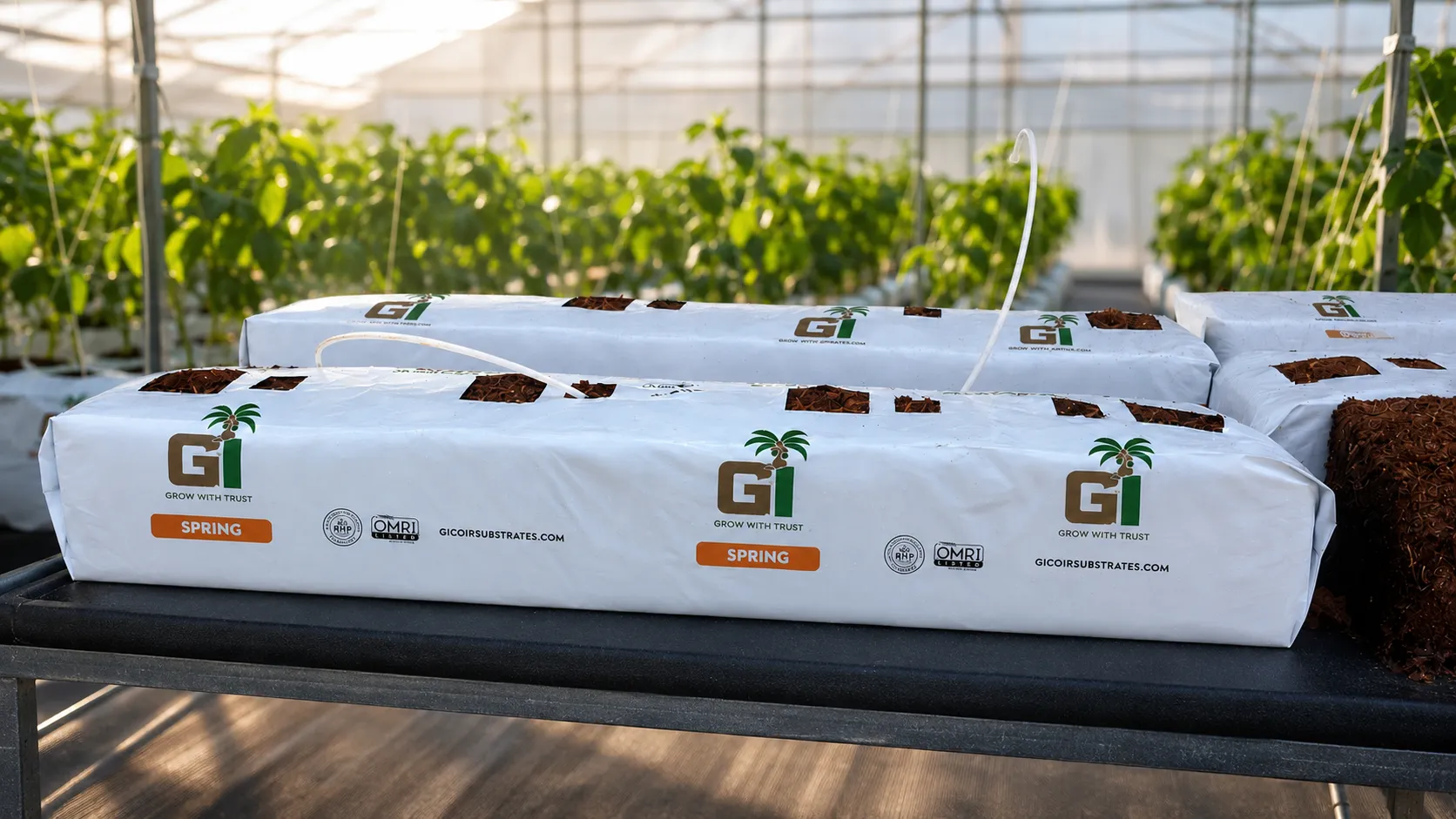Coir Grow Bag Slabs