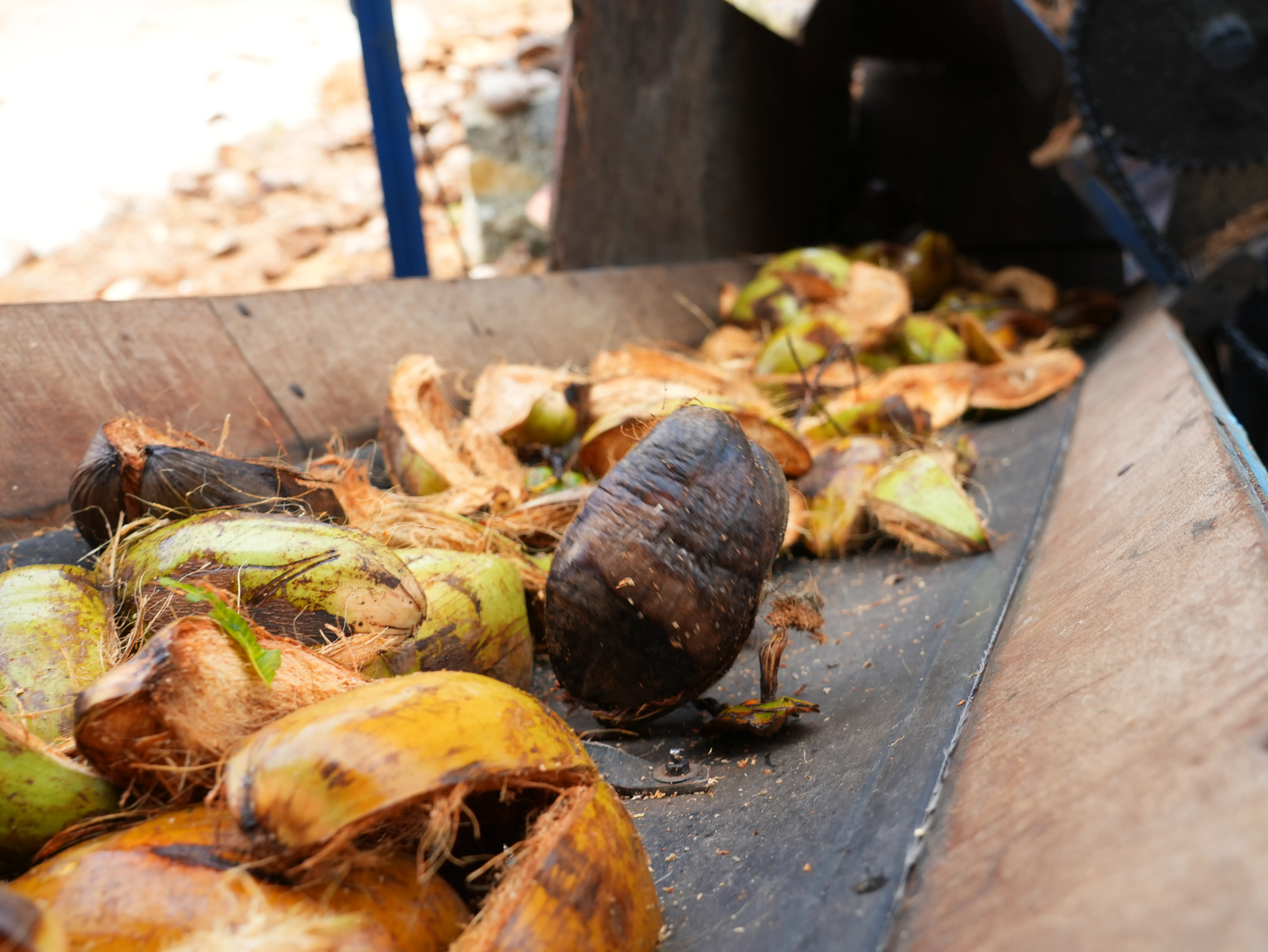 Fibre & pith extraction